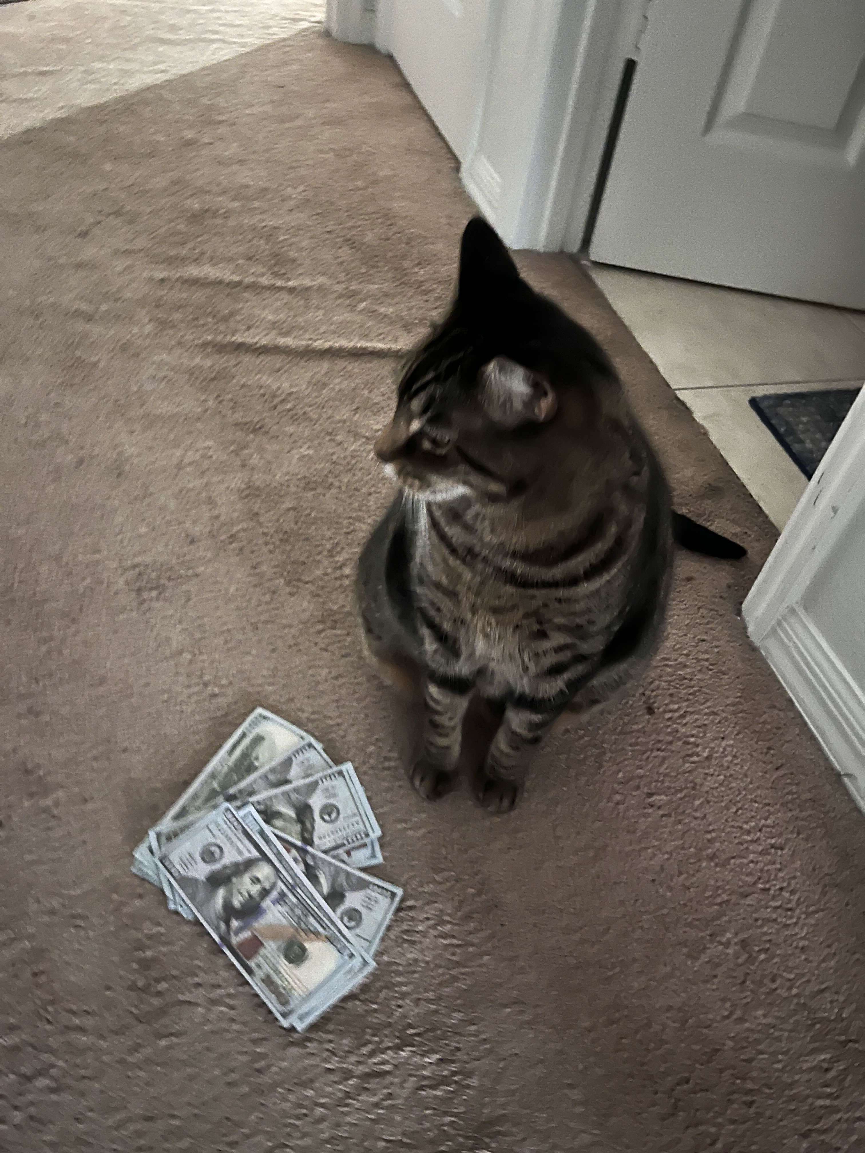 The real senior developer